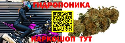 мяу мяу мука Малгобек