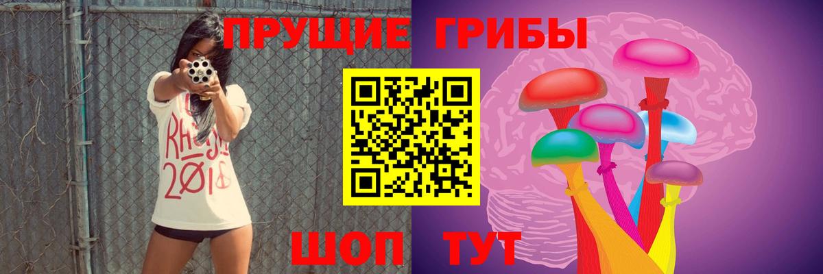 где продают наркотики  Галлюциногенные грибы Psilocybe  Вход с VPN  Сунжа 