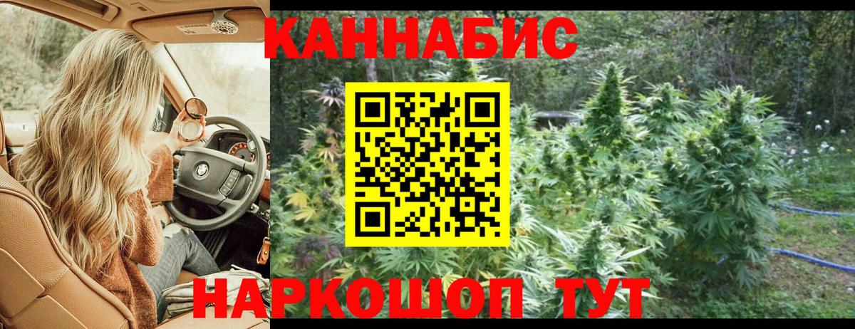 Каннабис MAZAR Сунжа